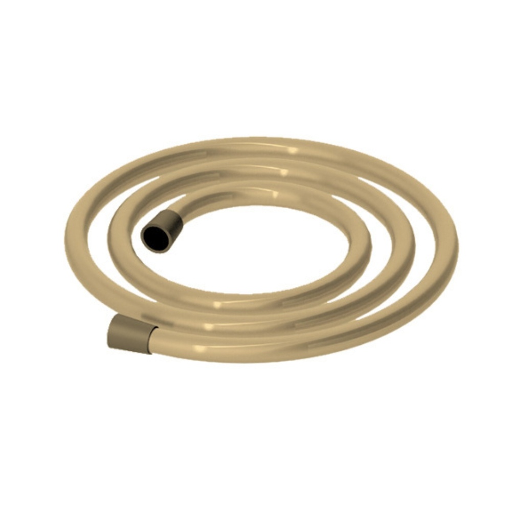 Product cut out image of the Abacus Brushed Brass 1.2m Shower Hose TBTS-414-7012